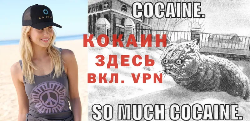 где купить   Каргополь  Кокаин Fish Scale 